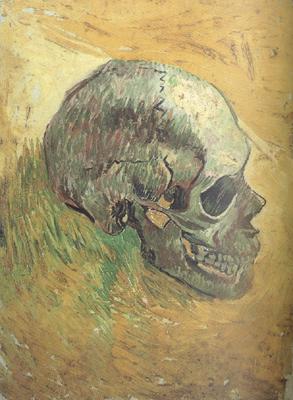 Vincent Van Gogh Skull (nn04) China oil painting art
